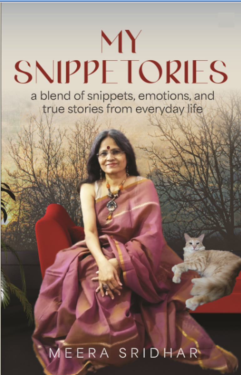 My Snippetories Cover